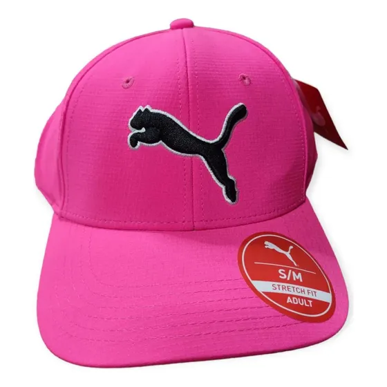 Puma Evercat Dillon - Gorra Elástica