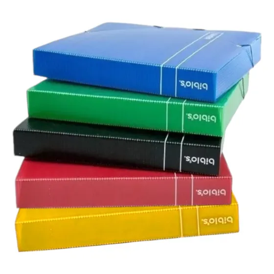 Carpeta Gruesa Bibliorato Organizador Archivador Ancho 5 Cm