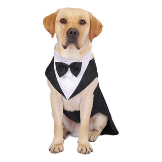 Traje De Boda/vestir Para Perro Con Pajarita Traje De Boda/vestir Para Perro Con Pajarita