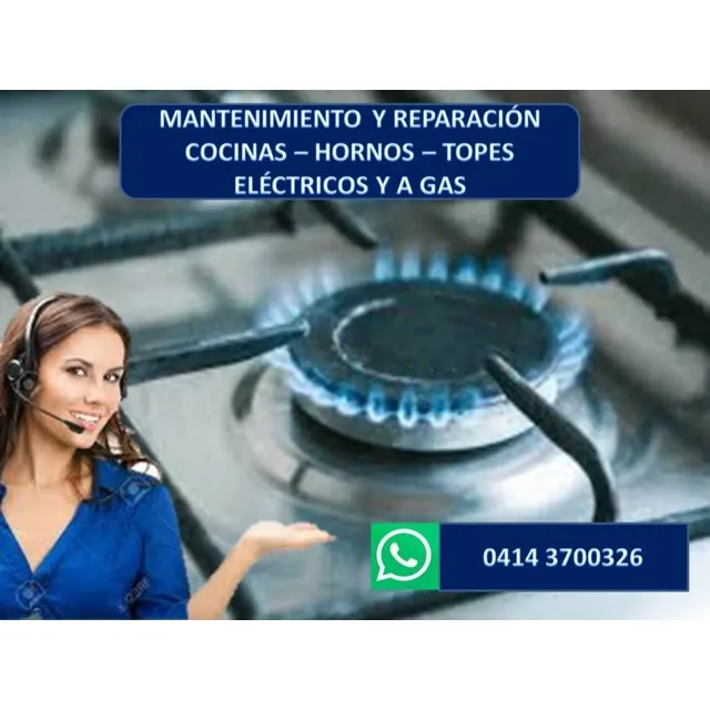 Servicio Técnico De Horno Cocina Tope Electrico, Gas