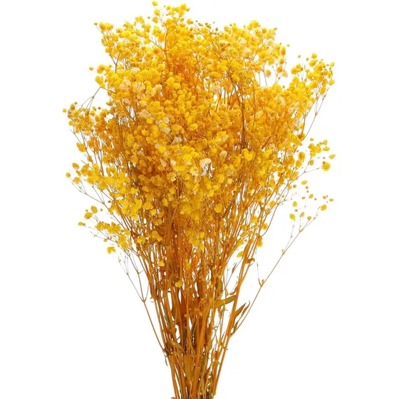 Ramo Flores Secas  Vivas Naturales Gypsophila Para Arreglos