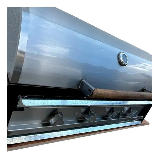 Asador De Carbón Y Gas
