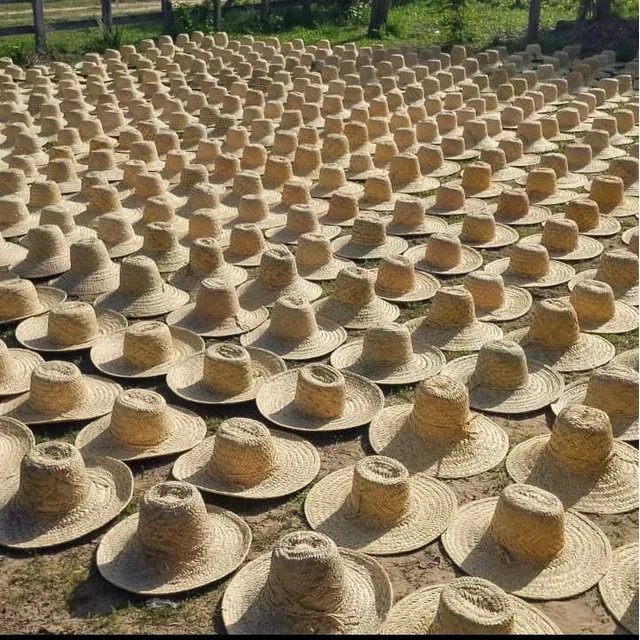 Sombrero Playero Moriche Adulto - Primavera 2024