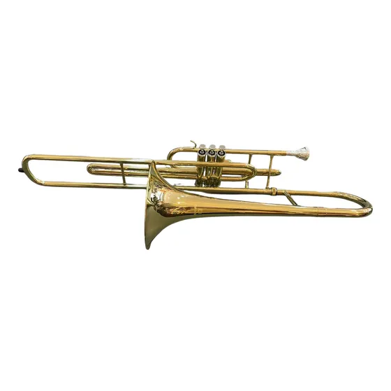Trombone De Pisto Dasons Laqueado Sib Tbgp301g + Case