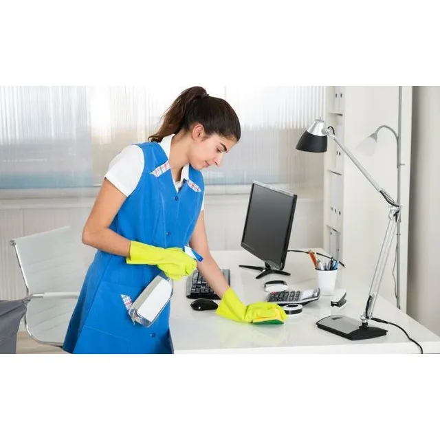 Servicios De Limpieza Y Mantenimiento