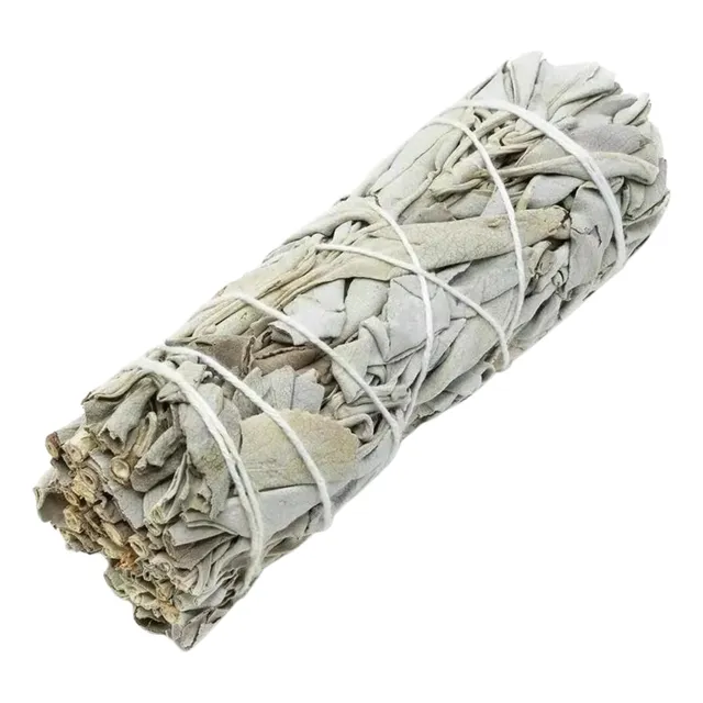 Salvia Blanca Californiana Rollo 10cm -cosecha Sostenible-