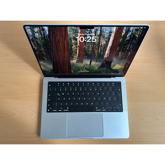 Macbook Pro 14  Apple M4 16gb Ssd 512gb Plata Apple Care+