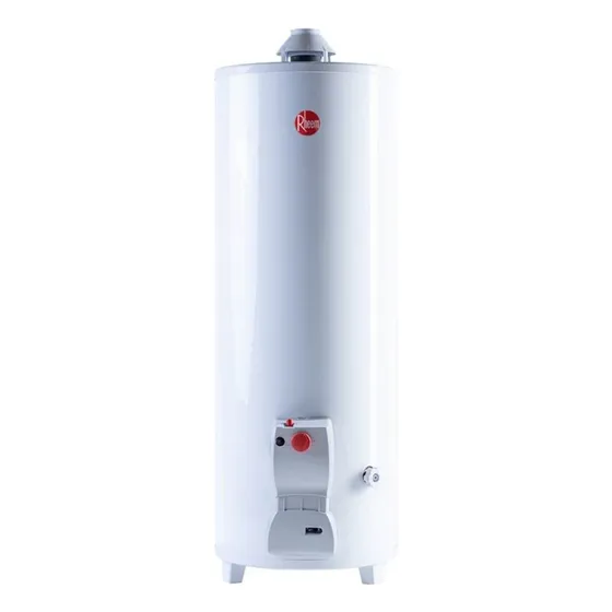 Rheem Functional Tpg120gnrh Termotanque Multigas Color Blanco 120l