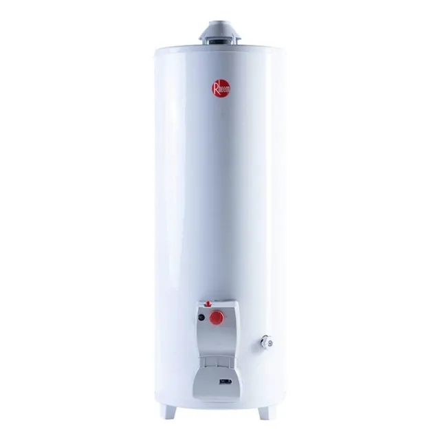 Rheem FUNCTIONAL TPG120GNRH Termotanque multigas Color blanco 120L