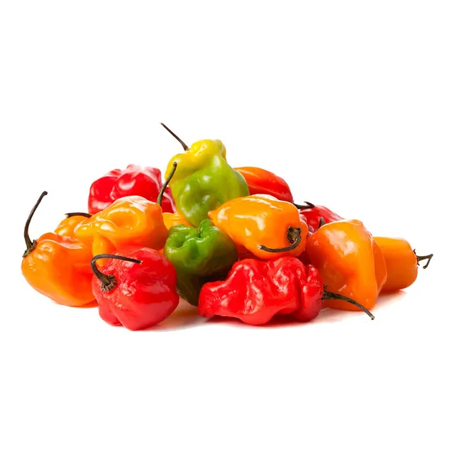 Semillas Ají Picante Habanero
