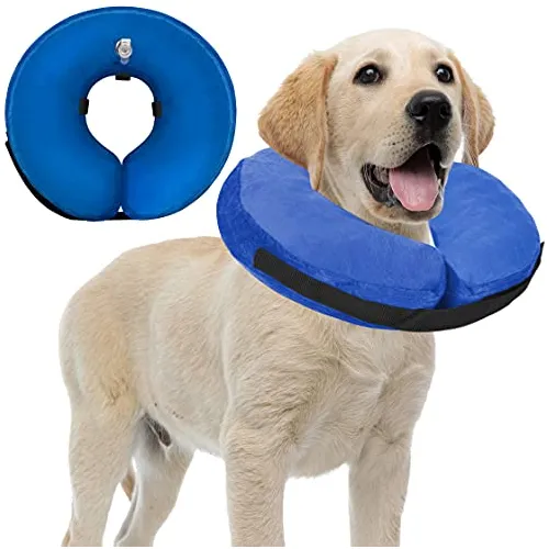 Collar De Cono Suave Para Perros Pequeños Y Gatos Pn560