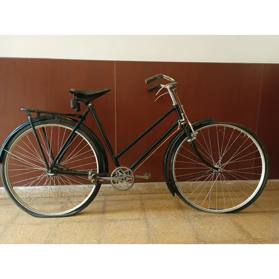 Bicicleta Raleigh Dama Original Rodado 29