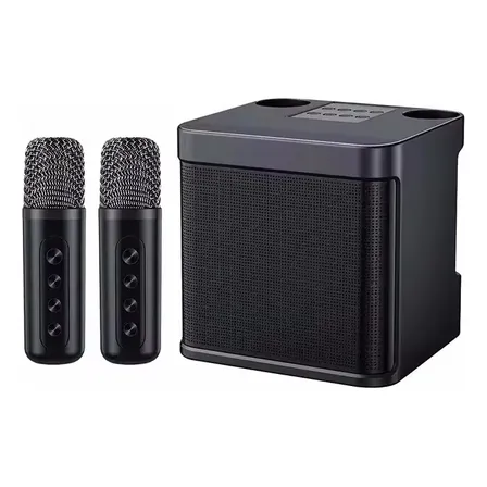 Parlante Karaoke Portátil Bluetooth Con Micrófono Inalámbrico Negro