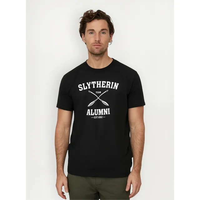 Remera Harry Potter Hogwarts Slytherin Wizard Casas