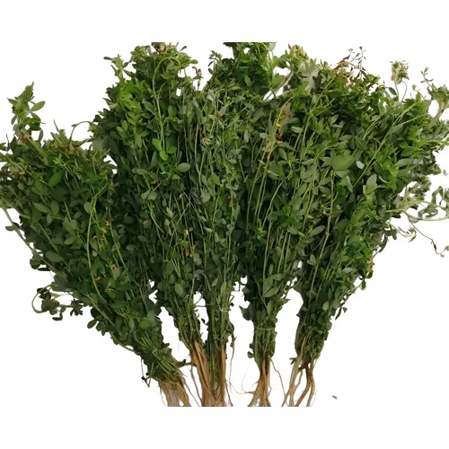 Cebolla Blanca X Kg (t) | MercadoLibre