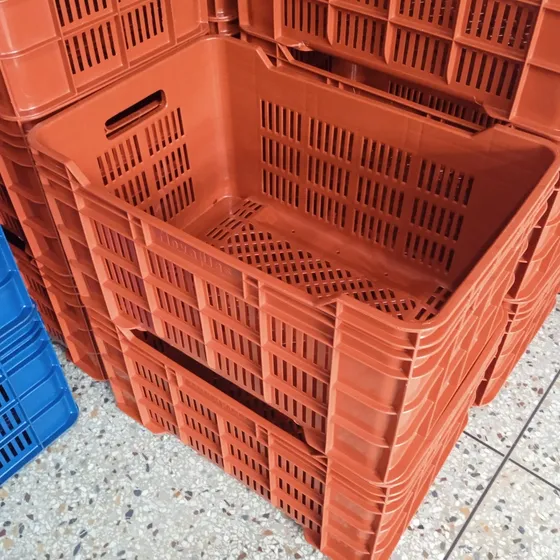 Cestas De Verdura Pollo Y Frutas Plasticas 40 Kg 