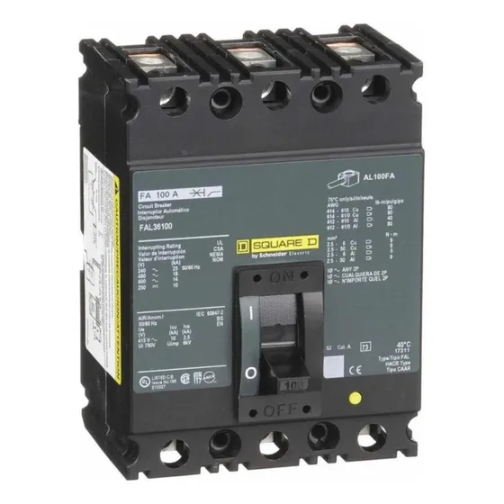Interruptor Termomagnético 100 A 600 V 3 P Fal36100 Square D Color Negro