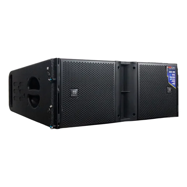 Bafle Line Array Pasivo Rvx210 Eurosound Bocinas 2x10 Color Negro