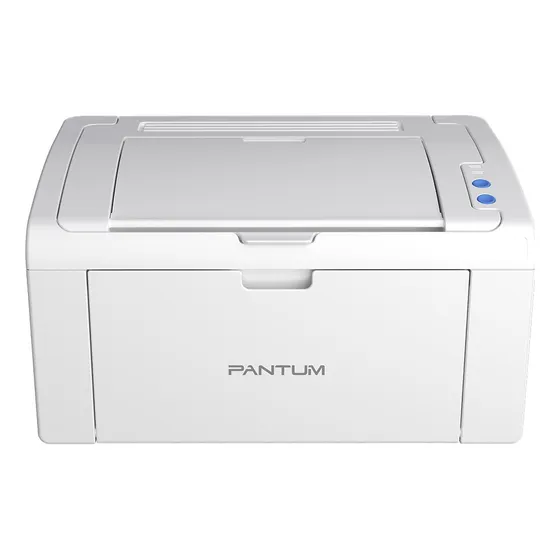 Impresora simple función monocromática Pantum P2509W con wifi 220V