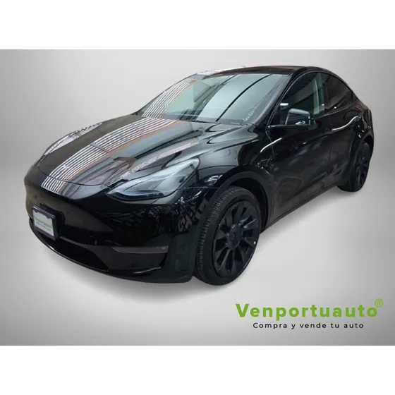 Tesla Model Y 0.0 Long Range Awd