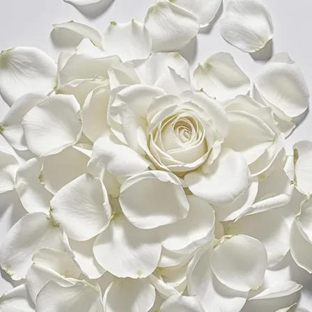 4000 Pétalas De Rosa Artificiais Branco Vermelho Paracasamen