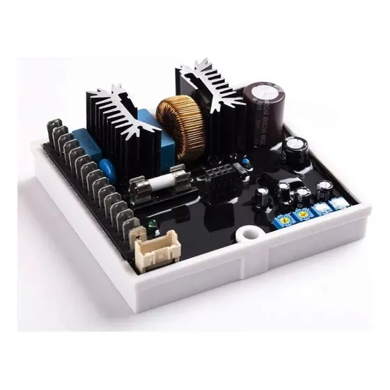 Avr Regulador Voltaje Dsr Meccalte Reemplazo Planta Electric