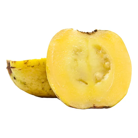 Arbolito De Guayaba Agria De Monte Cas