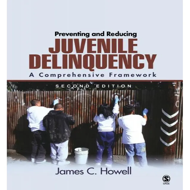 Libro Preventing And Reducing Juvenile Delinquency : A Co...
