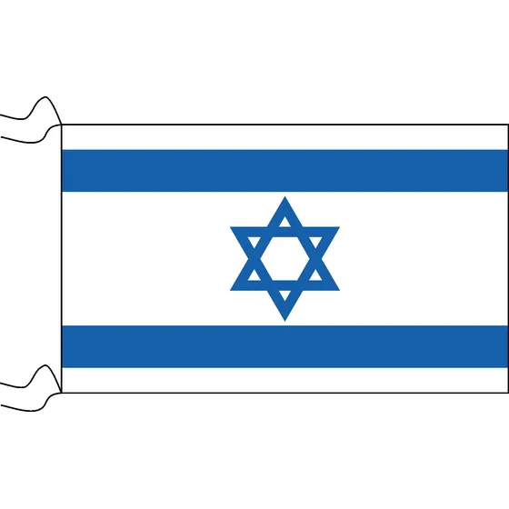 Bandera De Israel Estampada De 150 X 90 Cm