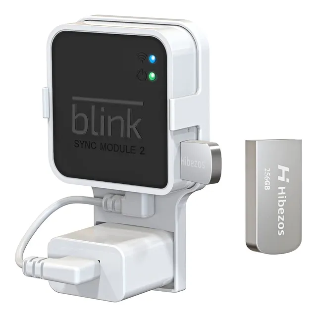 Unidad Flash Usb 256gb Hibezos Con Montaje Para Blink 2