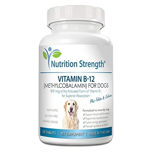 Nutrición De La Vitamina B12 Para Perros Más Folato 1j4yz