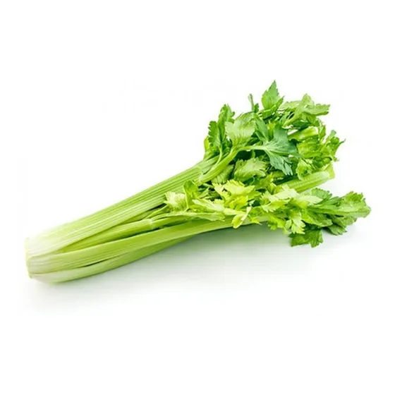 Semilla Apio Verde De Cortar - Origen Italia - As - Aqualive