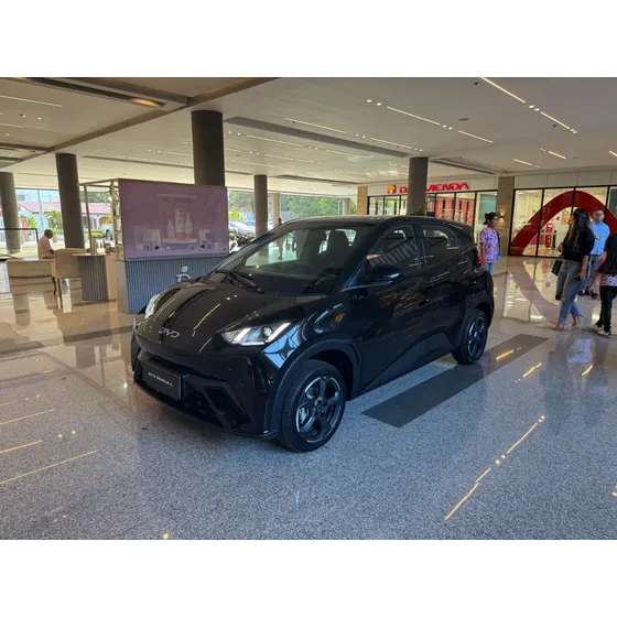 Byd Seagull 380 Gs
