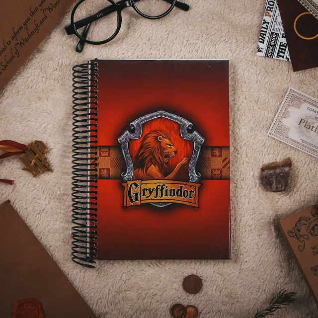 Agenda Harry Potter 2025 + Carta Aceptación + Regalos!