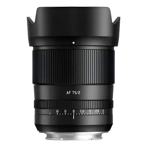 週末　SIGMA 90mm F2.8 DG DN eマウント 美品 Lente Sigma 90mm F2.8 Dg Dn Contemporary para Sony E-Mount