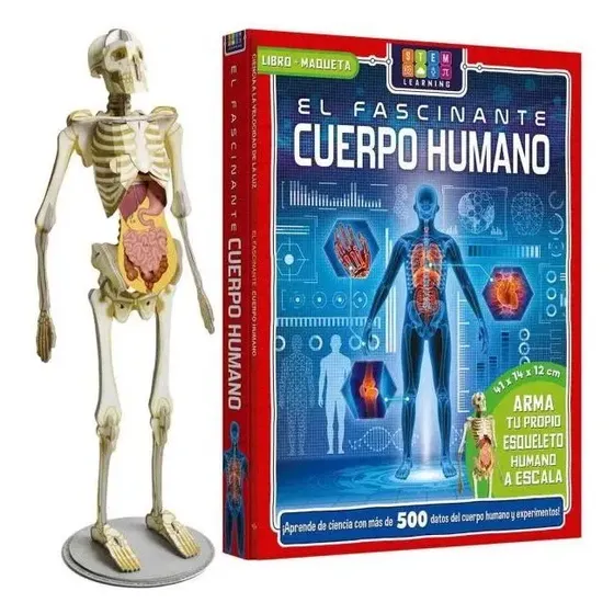 El Fascinante Cuerpo Humano Libro+maqueta Esqueleto \u002F Lexus | Cuotas sin interés