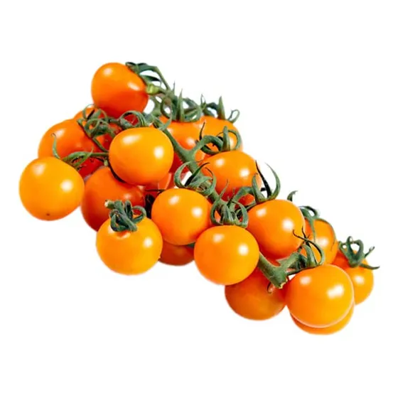 Semillas De Tomate Cereza Sun Gold 2025-10 Para Plantar. Sem