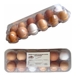 Embalagem Para 12 Ovos De Galinha + Rotulo 100 Unid Embalagem Para 12 Ovos De Galinha + Rotulo 100 Unid