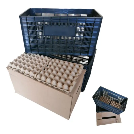 Cesta Para Huevos Capacidad 12 Cartones