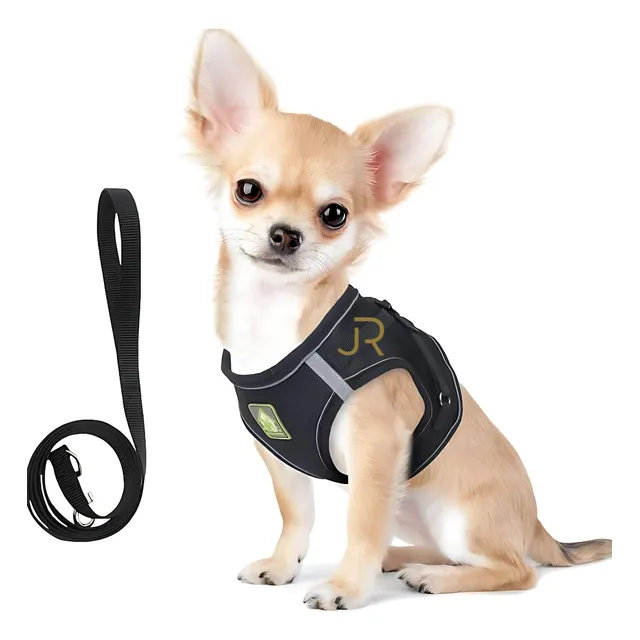 Arnés  Pechera Collar Correa Para Perro Gato Pequeño