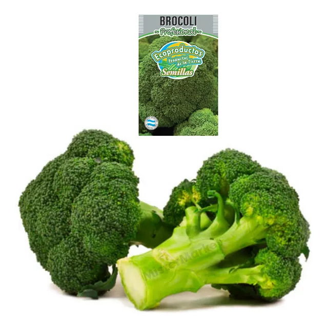 Semillas Huerta Brocoli Cultivo Hortalizas Ecoproductos