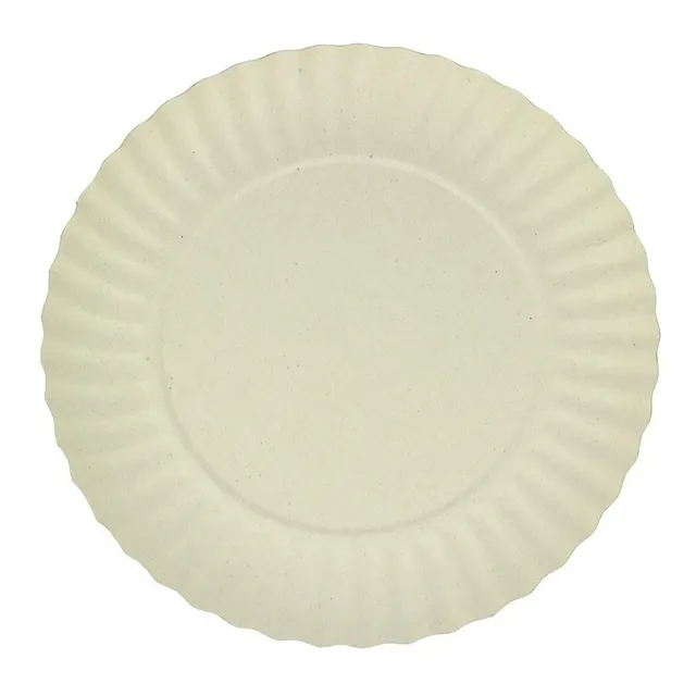 Prato De Papelão Pinho N° 03 - 100 Unidades
