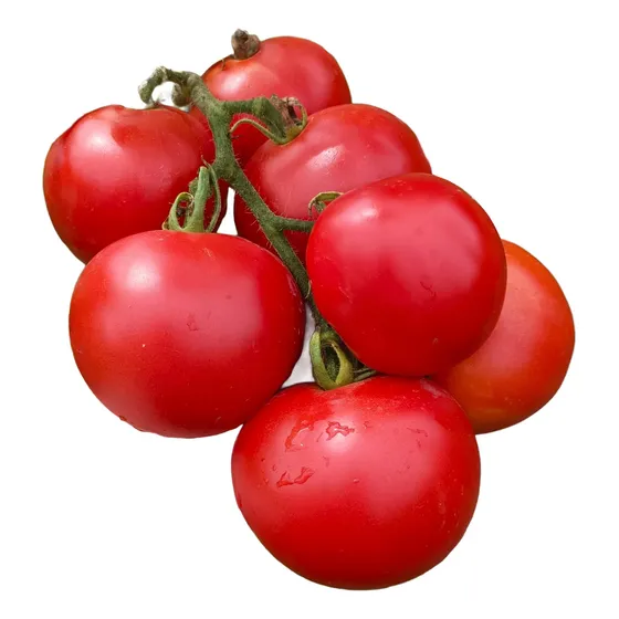 Semillas Tomate Racimo Russian Apple Tree! Arbol De Manzanas
