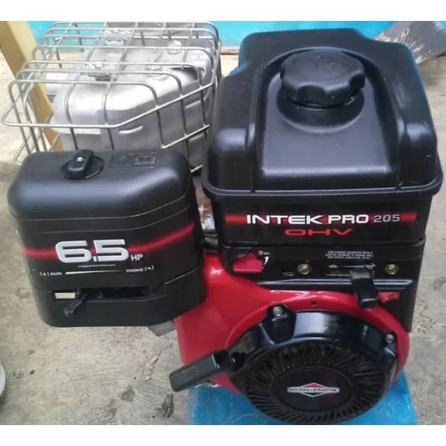 Moto Bomba Marca Brigg