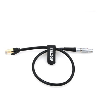 Zblzgp 1b Cable Ethernet De 10 Pines A Cat5e Para Mini Cámar Zblzgp 1b Cable Ethernet De 10 Pines A Cat5e Para Mini Cámar