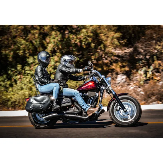2011 Harley Davidson Dyna Fat Bob