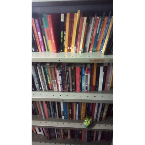 Lote De Livros Usados Para Revenda - 20 Livros