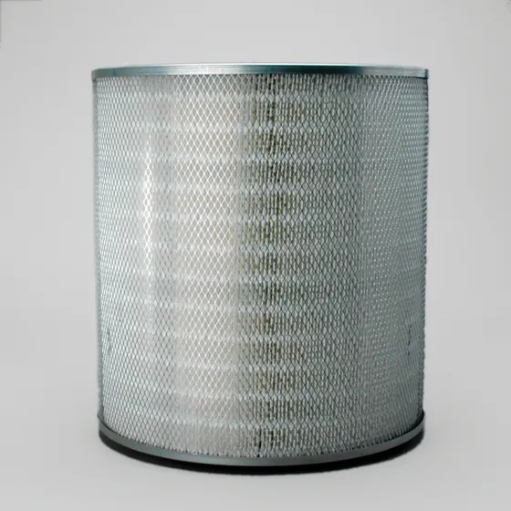 Filtro De Aire Primario  P228279 8254986000 Gdtp228279