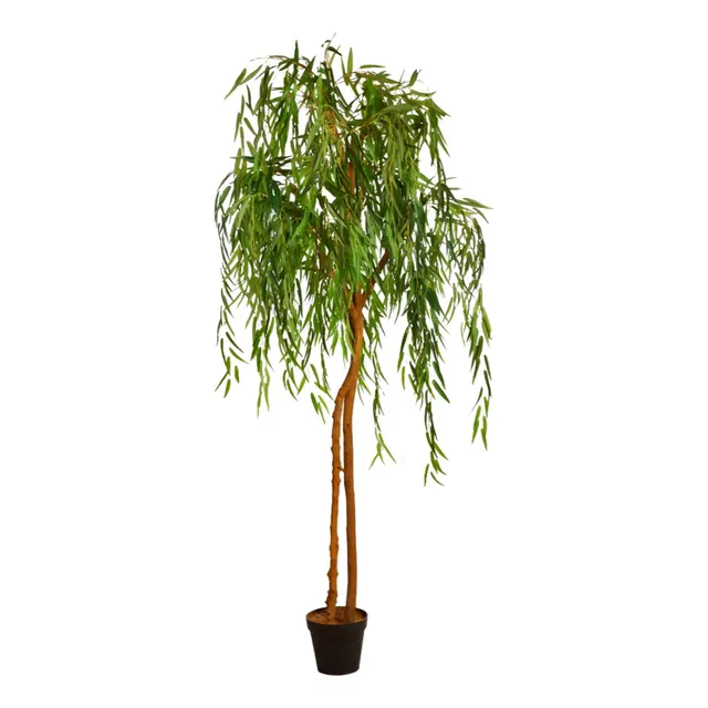 Planta Comprar Arbol Sauce Lloron