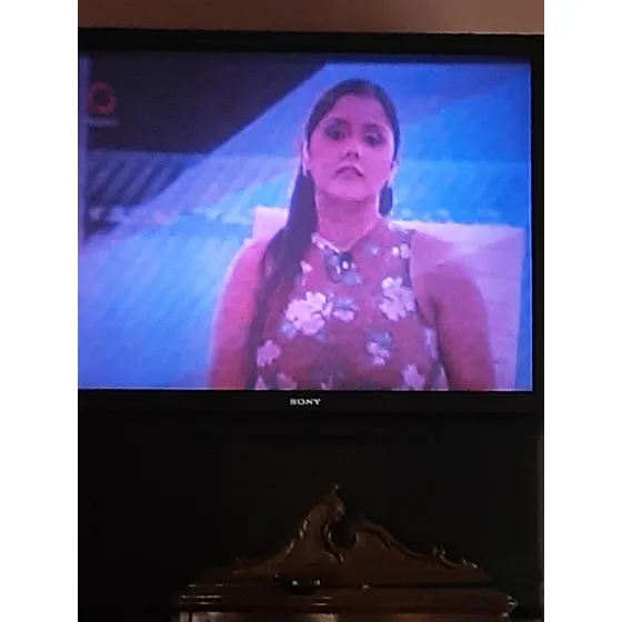 Vendo Televisor Proyeccion Sony De 48